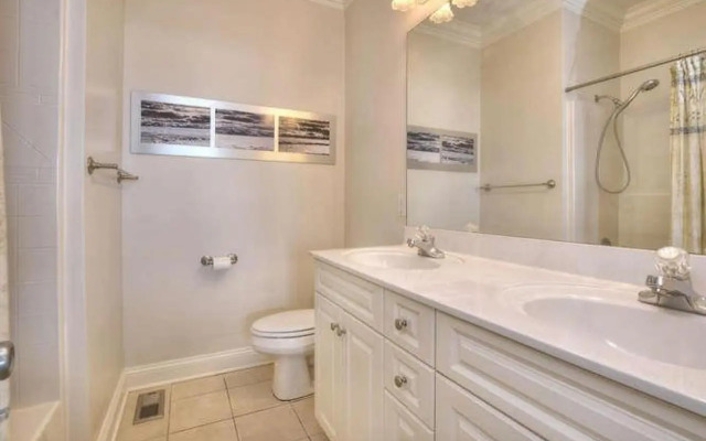 Stranded Indolphinitely