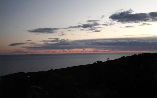 Appartement Banyuls-sur-Mer, 2 pièces, 4 personnes - FR-1-225C-79