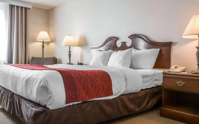 Comfort Inn & Suites East Greenbush - Albany