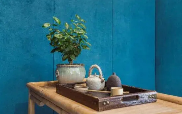Pure Shangju Homestay