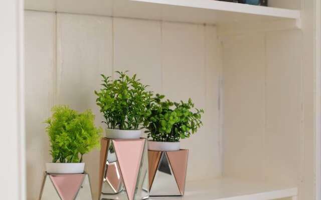 Refined Ground-floor Apt Near Stockbridge Market