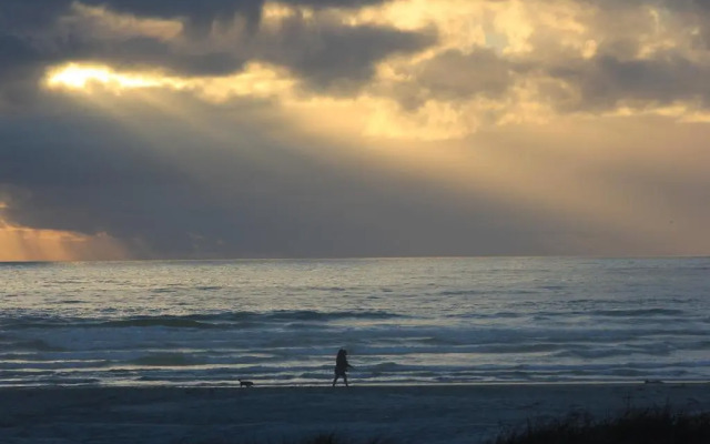 Penguin Place by AirAgents