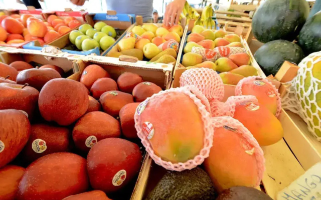 STUA Rialto-Market