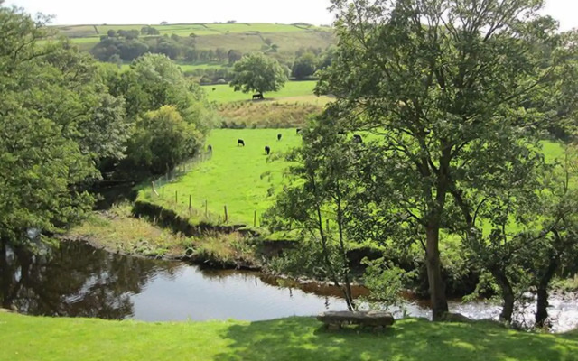 Millbrook B&B