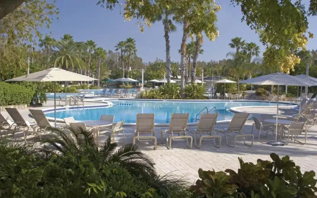 Saddlebrook Resort