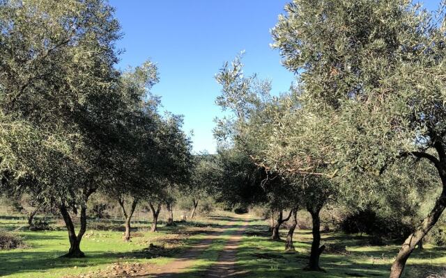 Moulin de l'Ostriconi