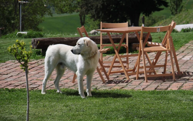 Agriturismo L'Isola Che Non C'era