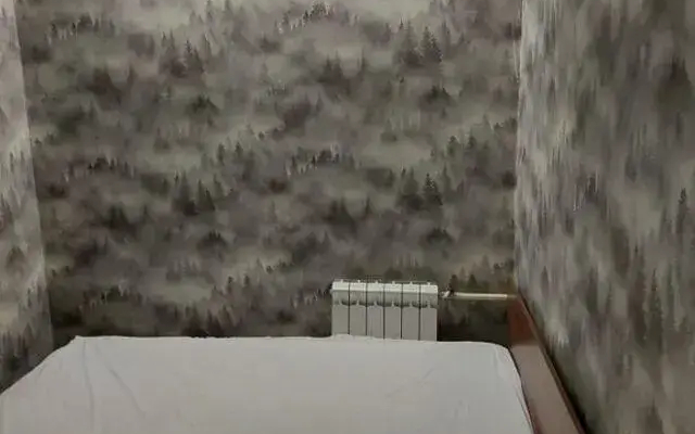 Апартаменты на переулке Маяковского