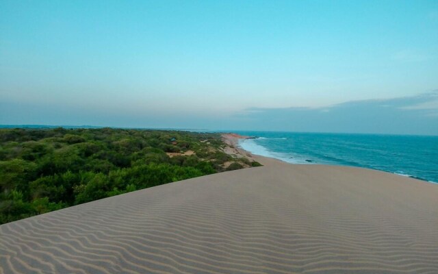 Back of Beyond Dune Camp - Yala