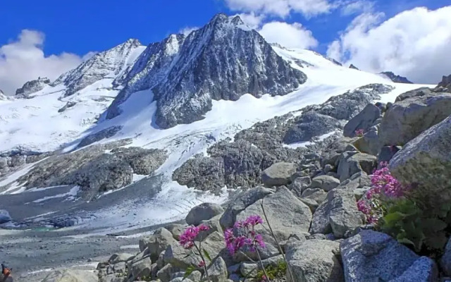 Alpenсolor Hotel Tonale