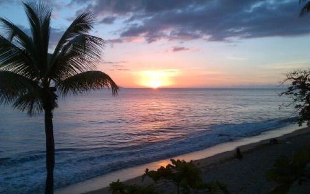 Coconut Palms Inn On The Beach