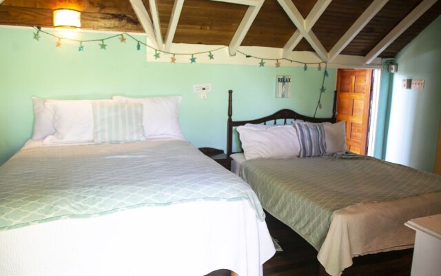 Castle Cove-Ocean Front Villa