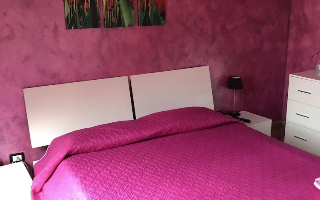 The Maze B&B