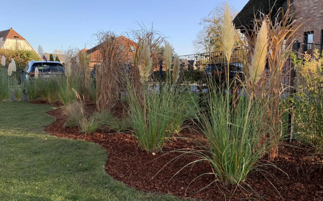 Reetdachhaus Nordstern