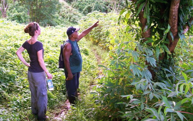 Matava - Fiji...Untouched