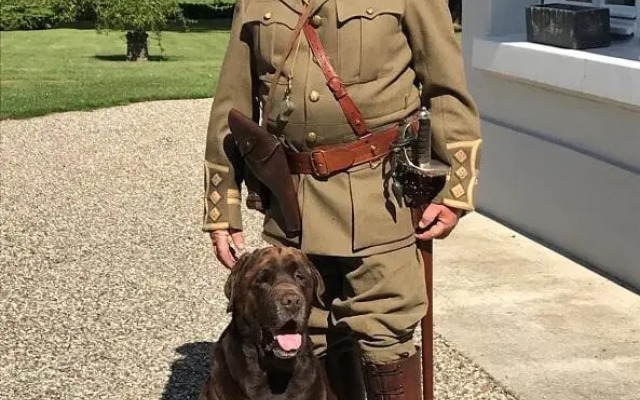 The Poppy's