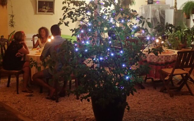 Le Cactus Guesthouse