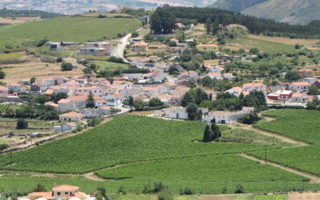 Quinta Sobral Prestige