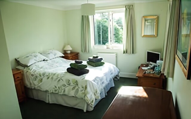 Bassets B&B