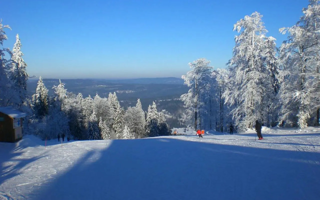Pension Philippsreut "Zum Pfenniggeiger"