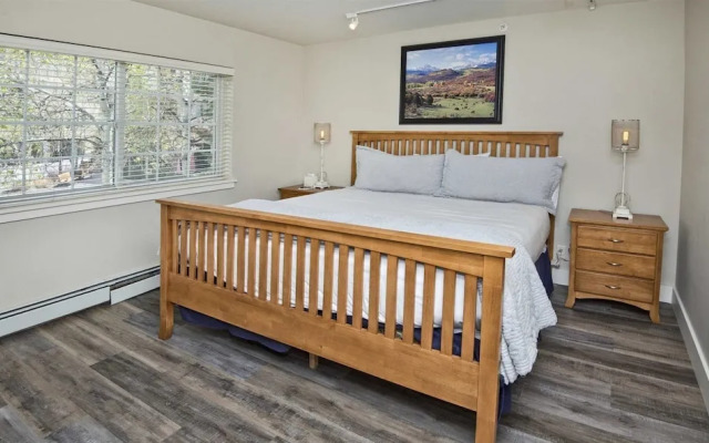 Luxury 3 Bedroom Condo in Vail Village