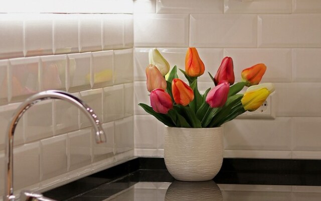 Iloftmalaga San José