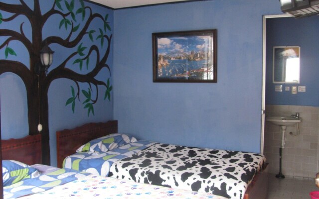 Hostal Transilvania
