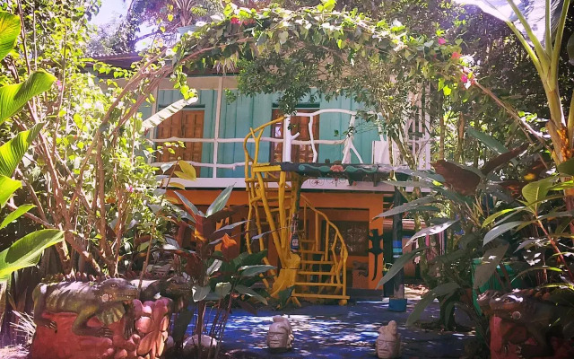 Madre Selva Jungle Hostel