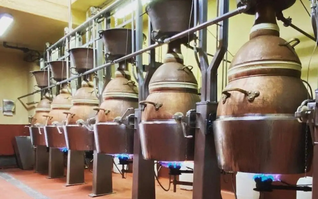 Hotel Finca Malvasia