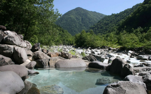 Shinzanso