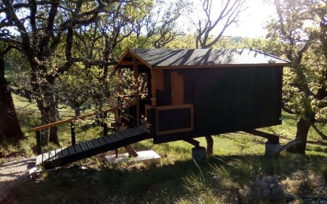 LES TRUFFIERS Cabane