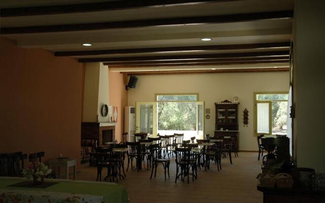 Gera's Olive Grove