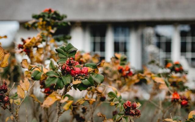 Ferienhaus Nordbrise