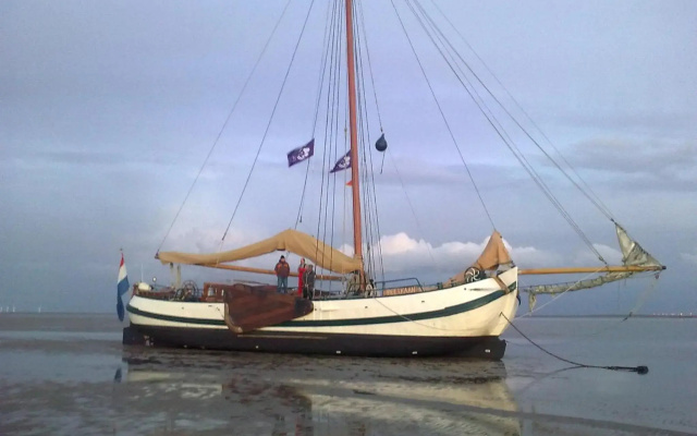tjalkjacht pelikaan enkhuizen