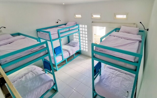 Mad Monkey Kuta Lombok - Hostel