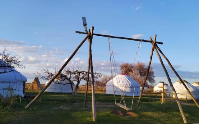 Jurten Camp Almaluu