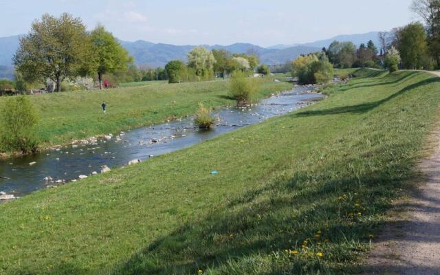 Appartement am Elzdamm