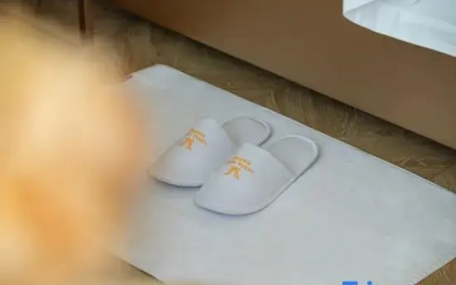 Vienna Hotel (Longhua Yicheng Center Yousong Branch))