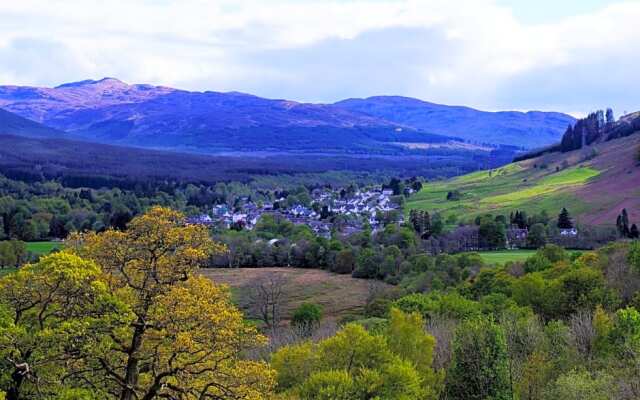 Cosy Rowan woodland lodge no3