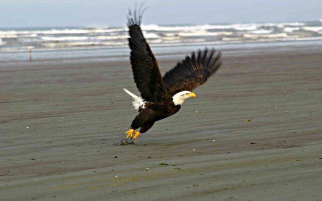 Hi-Tide Ocean Beach Resort