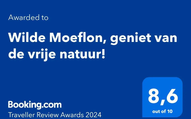 Wilde Moeflon, geniet van de vrije natuur!