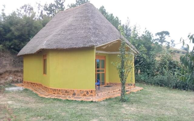 Paradise Eco-Hub