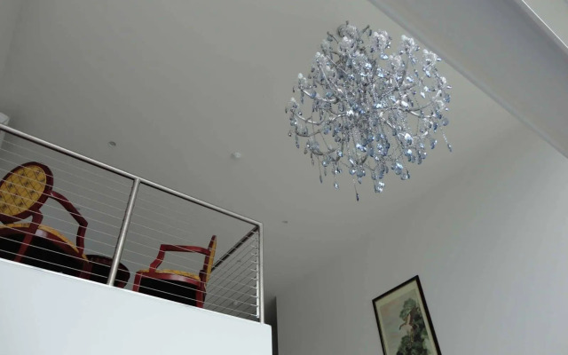 Areca Launceston 
