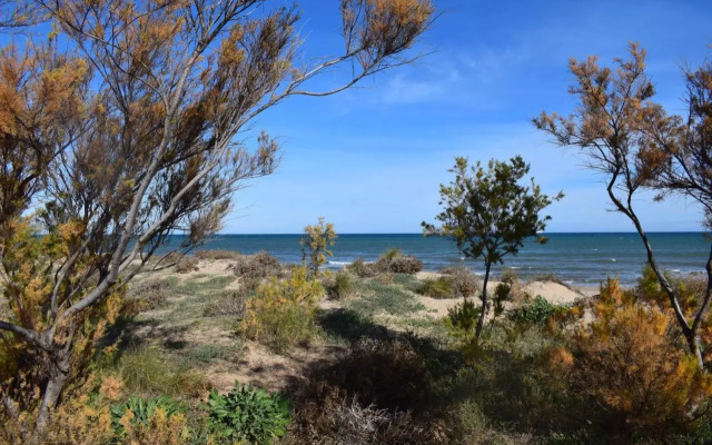 Ap844 Sector 5 Napols