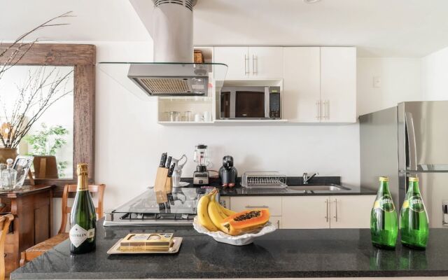 Polanco Designer Apartament