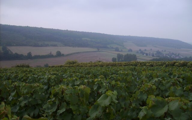 Chambres D'hôtes Champagne Douard