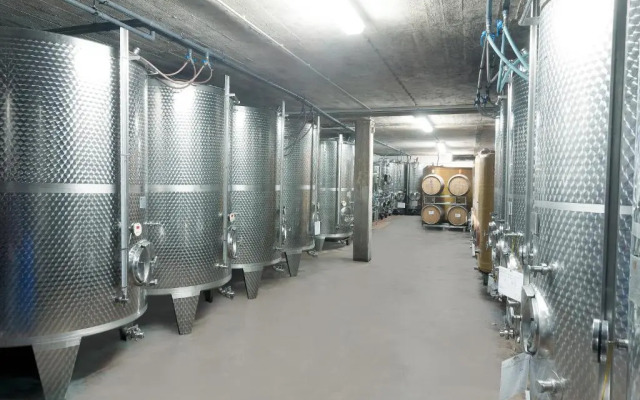 Pension und Weingut Moselblick