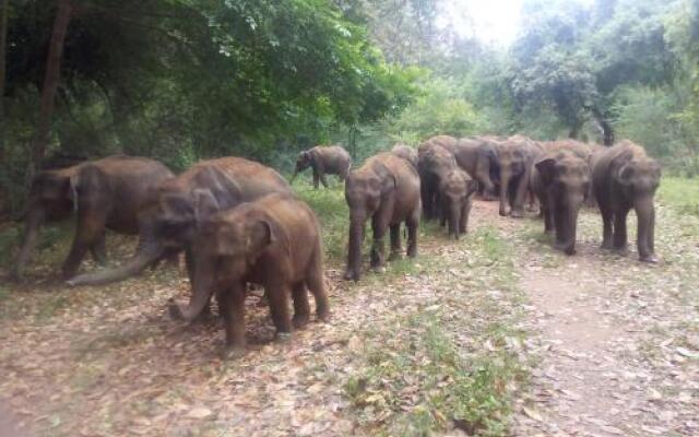 Domain Elephant Bungalow