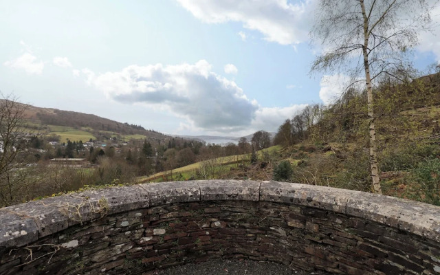 The Lookout