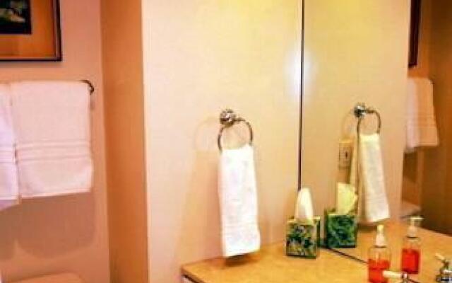 AMSI Pacific Heights One Bedroom Condo (AMSI-SF.PHJT1103)